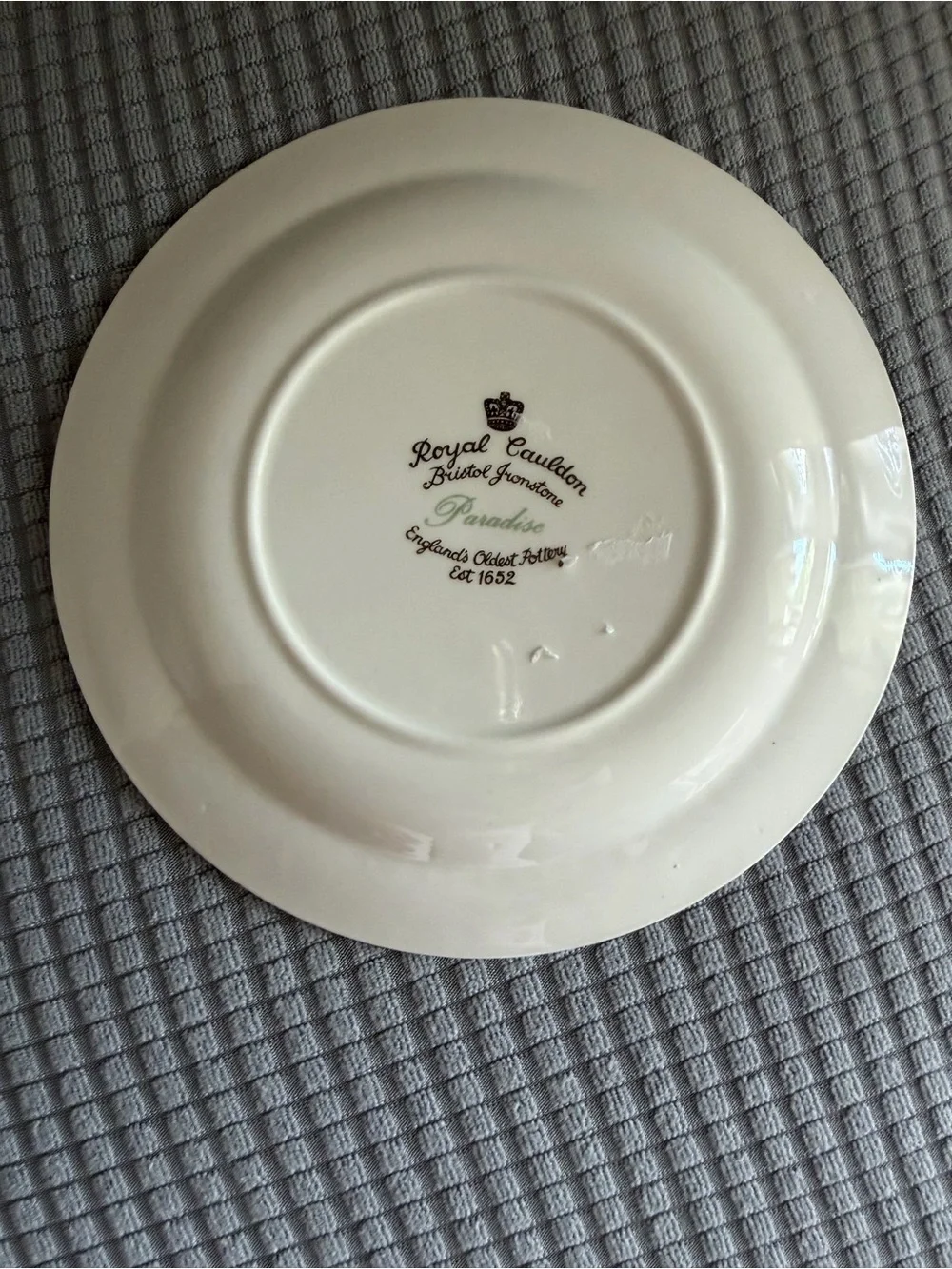 Decorative Floral Bird Ceramic Dinner Plate in Cream by Royal Cauldon Paradise